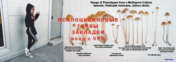 кокаин колумбия Арсеньев