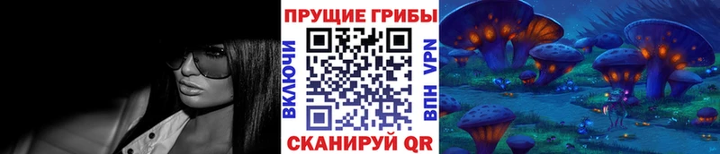Купить где  Сосновоборск  Галлюциногенные грибы Cubensis 